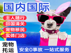 三沙永兴机场货运国际宠物托运 【国